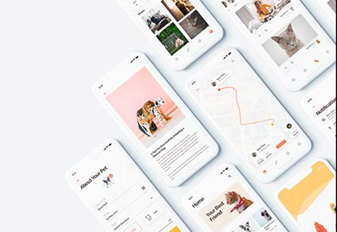 宠物社交app